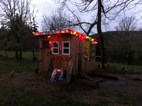 Old Chicken House 2014